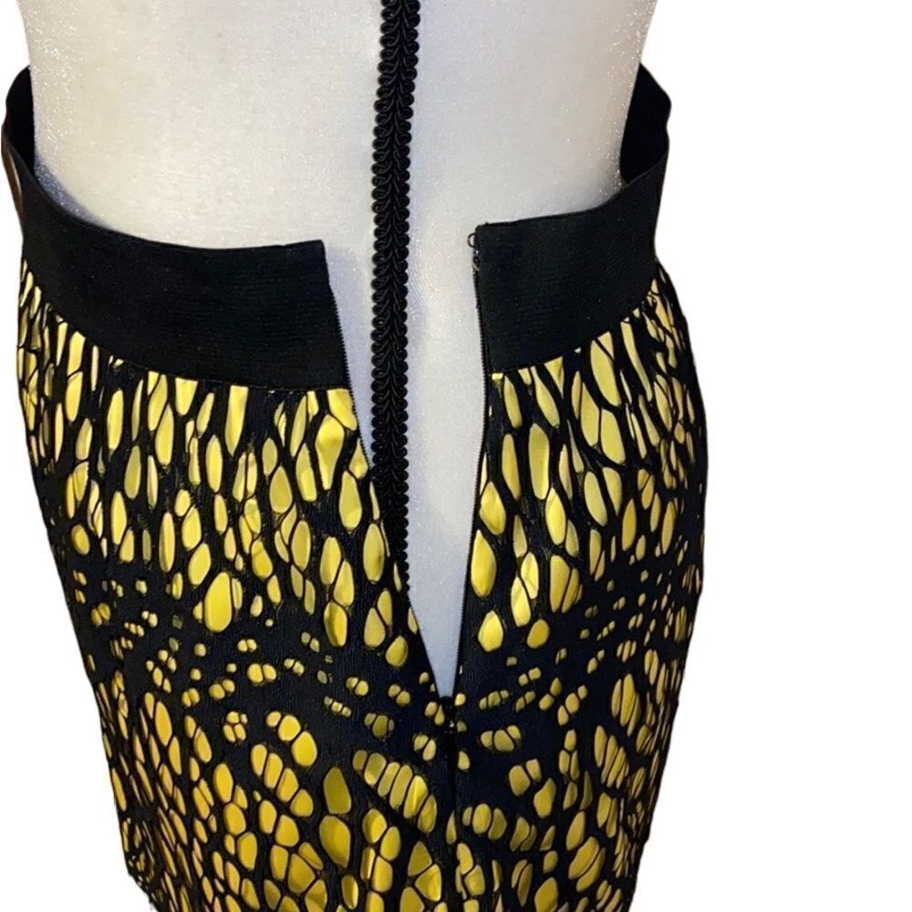 Robert Rodriguez Lace Overlay Mini Skirt - Picture 6 of 9